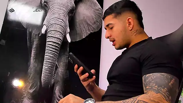 king falconer online show from 28, 10, 2025