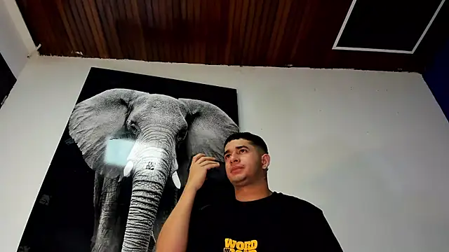 king falconer online show from 2, 11, 2025