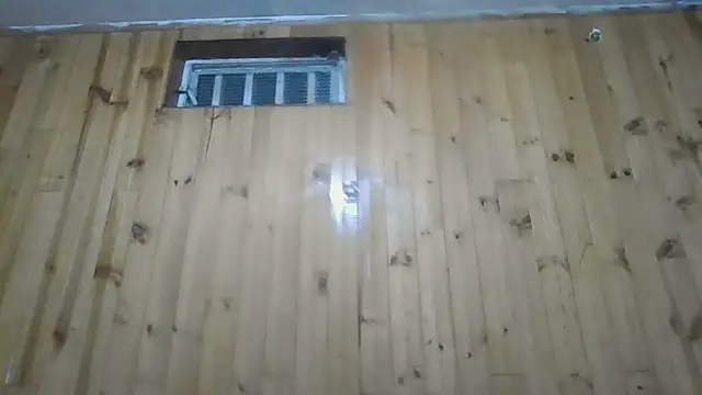 Roselingalvis13 online show from 30, 10, 2025