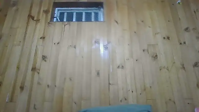 Roselingalvis13 online show from 3, 12, 2025