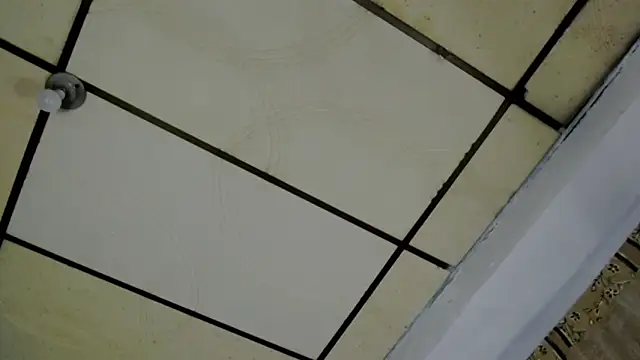 Snapshot of AlaskaFlowers_ chatting on 12, 9, 2025 AlaskaFlowers online show from 12, 9, 2025