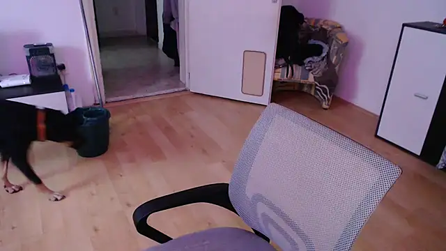 Aliens4twenty online show from 25, 9, 2025