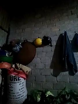 jienrrr online show from 24, 2, 2026