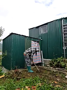 yoowwmr online show from 29, 10, 2025