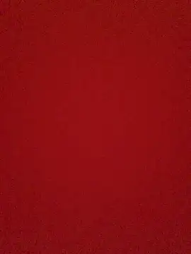 May125 online show from 12, 4, 2026