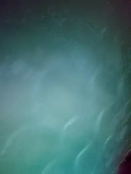 daisylouis online show from 2, 4, 2026