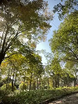 Xiao-meng66 online show from 14, 11, 2025