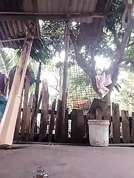 Snapshot of BigBoobs186 chatting on 23, 10, 2025 BigBoobs186 online show from 23, 10, 2025