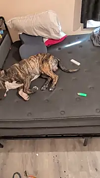 Cnutt310 online show from 2, 3, 2026