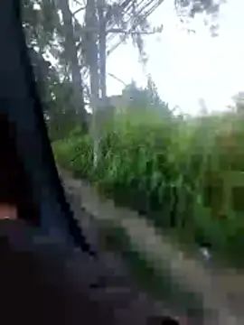 jeff pepoer online show from 7, 2, 2026