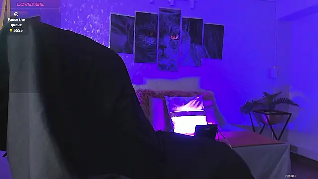 nils saint online show from 13, 1, 2026