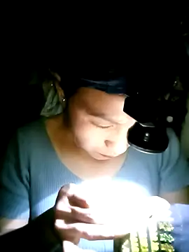 nasy lady online show from 12, 10, 2025