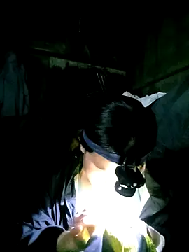 nasy lady online show from 8, 11, 2025