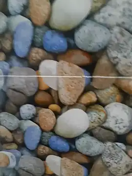 Snapshot of coocon2020 chatting on 28, 10, 2025 coocon2020 online show from 28, 10, 2025