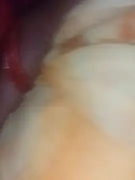 t2pnb online show from 3, 12, 2025