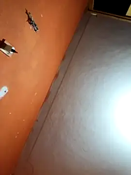 Xhimo5 online show from 22, 2, 2026