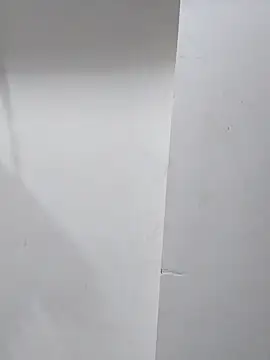 sneha bebo online show from 1, 11, 2025