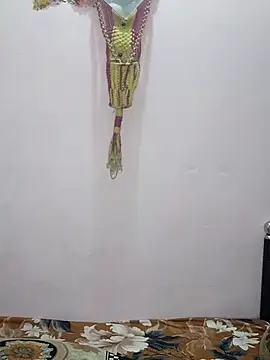 sneha bebo online show from 27, 2, 2026