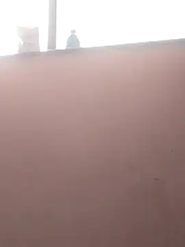 sneha bebo online show from 3, 3, 2026