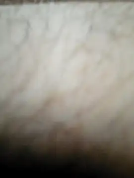 Snapshot of nikads0 chatting on 19, 5, 2026 nikads0 online show from 19, 5, 2026
