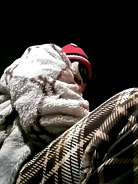 maple694 online show from 7, 1, 2026