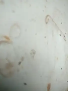 Mounstro3 online show from 28, 11, 2025