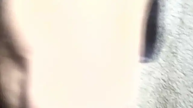 pietje1991 online show from 6, 3, 2026