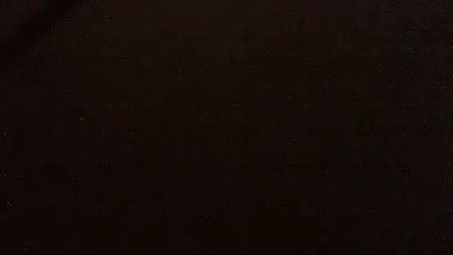 pietje1991 online show from 16, 4, 2026