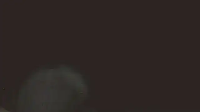 pietje1991 online show from 16, 5, 2026