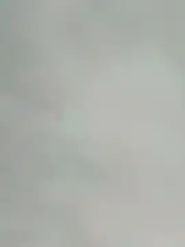 saik 03 online show from 17, 2, 2026