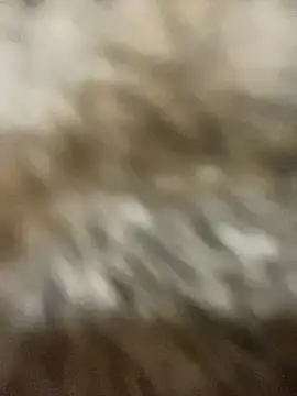 Snapshot of Sayhi_xo chatting on 27, 9, 2025 Sayhi xo online show from 27, 9, 2025