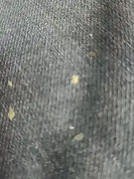 Snapshot of Narckse chatting on 15, 9, 2025 Narckse online show from 15, 9, 2025