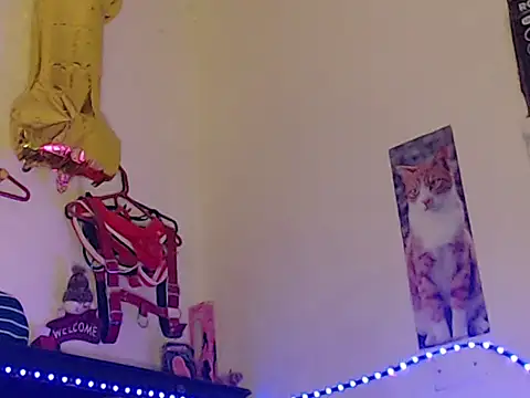 Npga96 online show from 17, 4, 2026