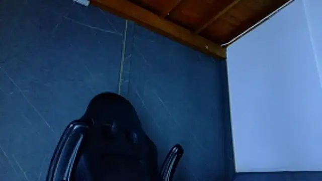 Snapshot of ALANNFERRER chatting on 25, 2, 2026 ALANNFERRER online show from 25, 2, 2026