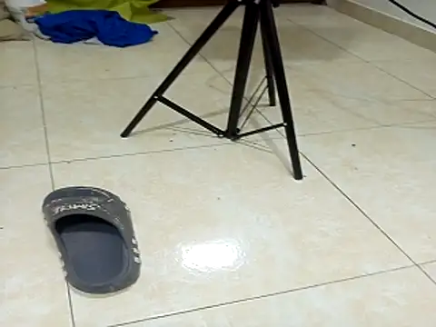 fromero27 online show from 22, 12, 2025