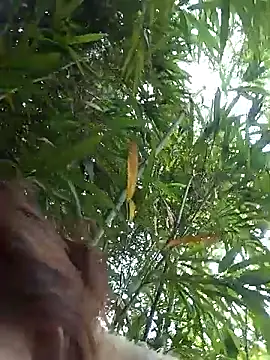 Bianly online show from 14, 3, 2026