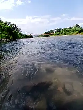 jeltsin3-25 online show from 20, 3, 2026