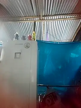 Lily-o online show from 22, 11, 2025