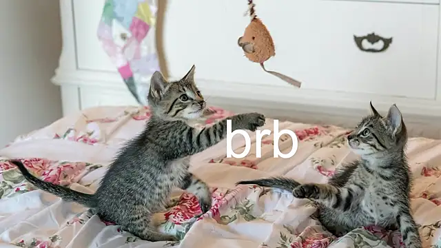 Snapshot of Pink_girl0n chatting on 25, 3, 2026 Pink girl0n online show from 25, 3, 2026