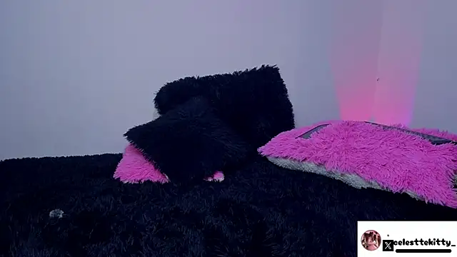 celestte evans 1 online show from 16, 3, 2026