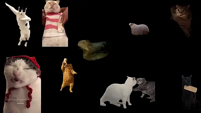 ch0wn m online show from 1, 2, 2026