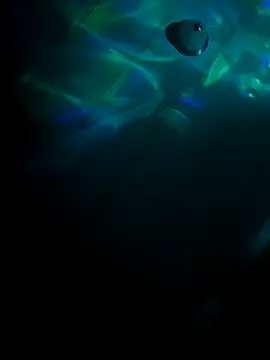 tyrek5051 online show from 31, 10, 2025