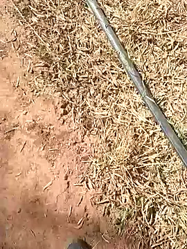 sonotutto online show from 13, 10, 2025