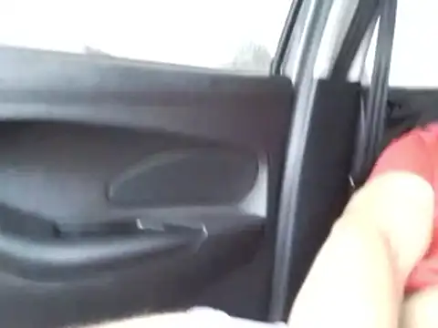 Siegfri3d   online show from 21, 4, 2026