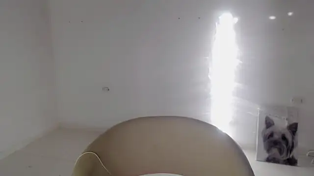 Stein  online show from 19, 9, 2025