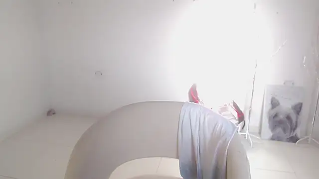 Stein  online show from 26, 9, 2025