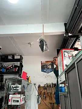 Terra-22cm online show from 18, 10, 2025