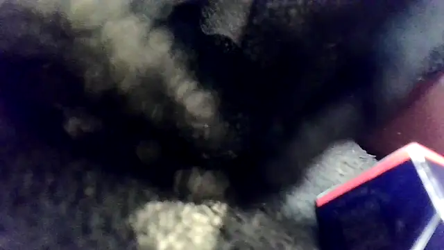 Evieskyyxh online show from 26, 11, 2025