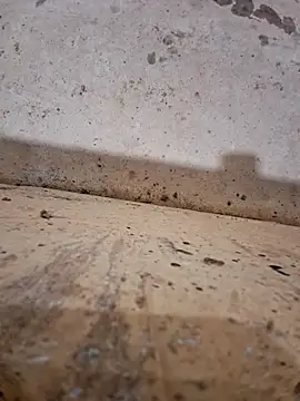 Negodabenga online show from 17, 12, 2025