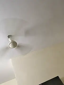 tamildarli online show from 11, 10, 2025